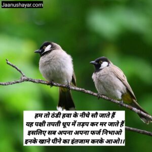 गर्मी में पक्षियों के लिए पानी शायरी images