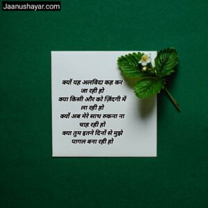 Goodbye Shayari In Hindi image