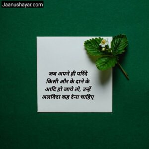 Goodbye Shayari In Hindi images