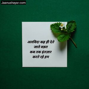 Goodbye Shayari In Hindi photos