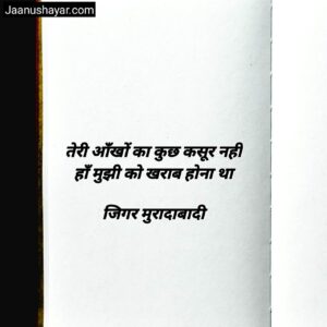 मशहूर शायरों की हिंदी शायरी